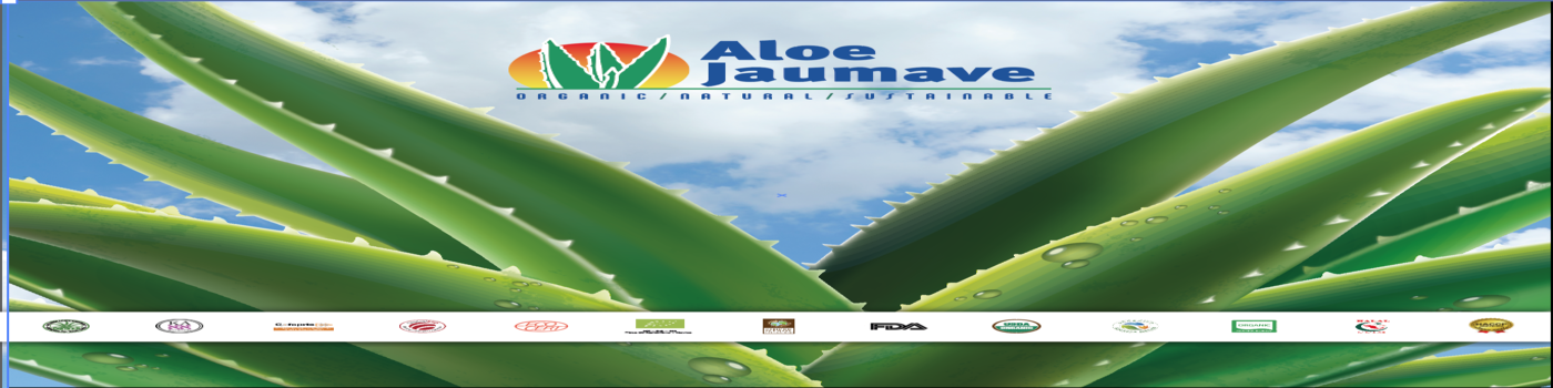 buy aloe vera plant 4