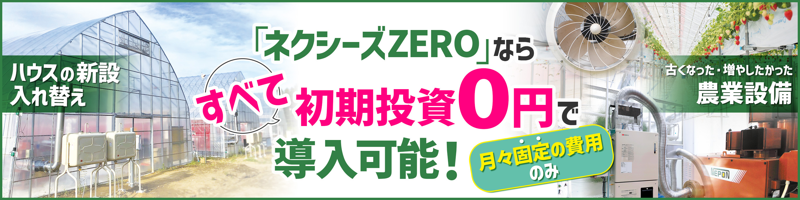トレーダーズショップ : DVD DAIBOUCHOUの銘柄選択術