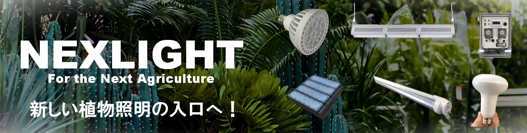 有限会社 豊川温室【NEXLIGHT】 - Exhibitor Details