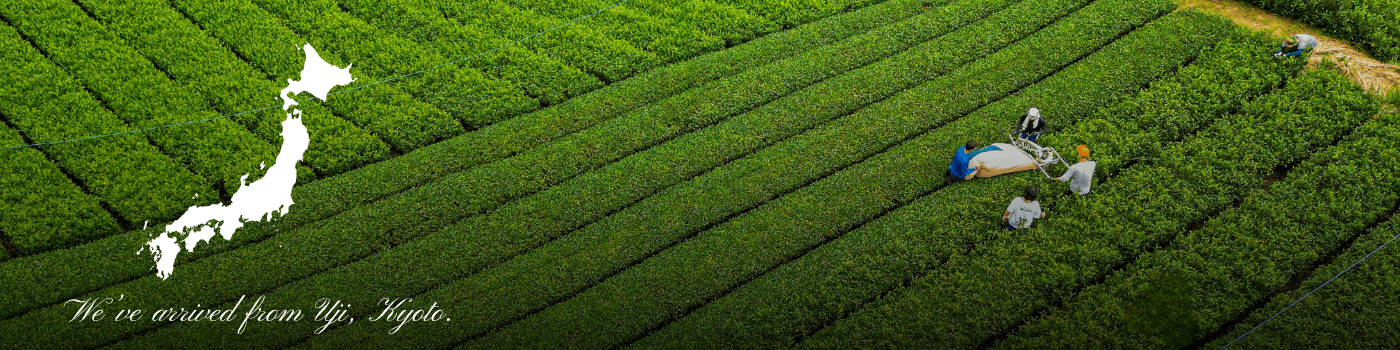 39 MATCHA - 出展社詳細