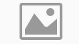 MVTec Vision Software (MERLIC & HALCON)