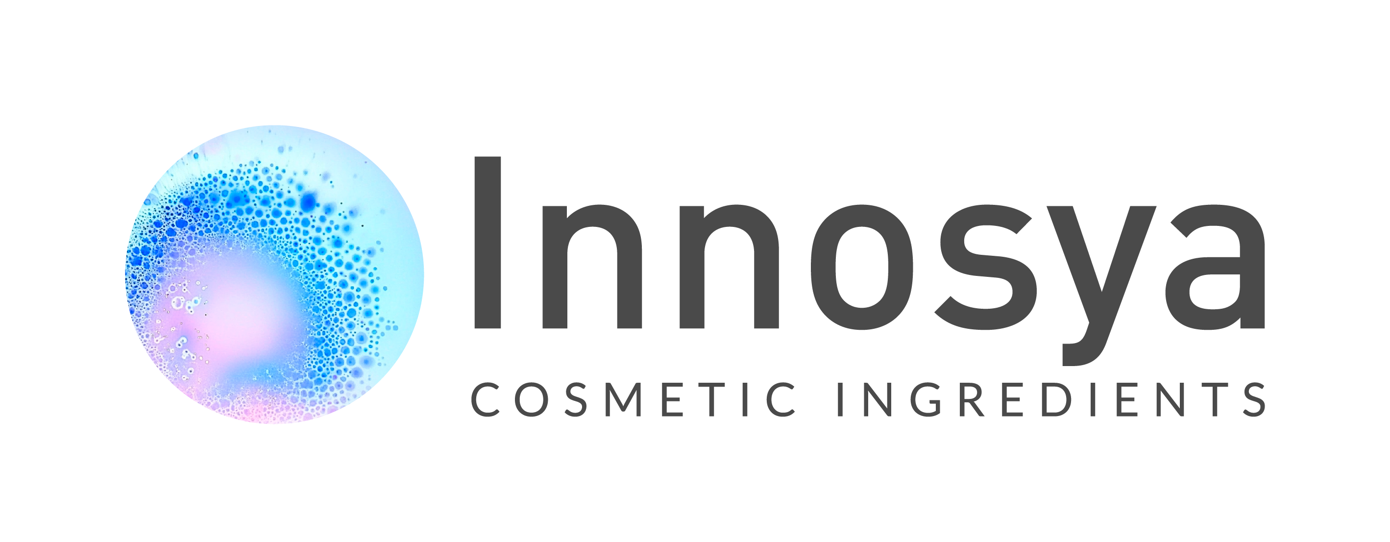 Lesaffre International logo