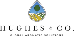 Hughes & Co Ltd logo