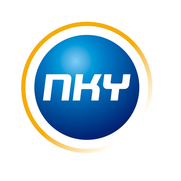 Boai NKY Medical Holdings Ltd. logo