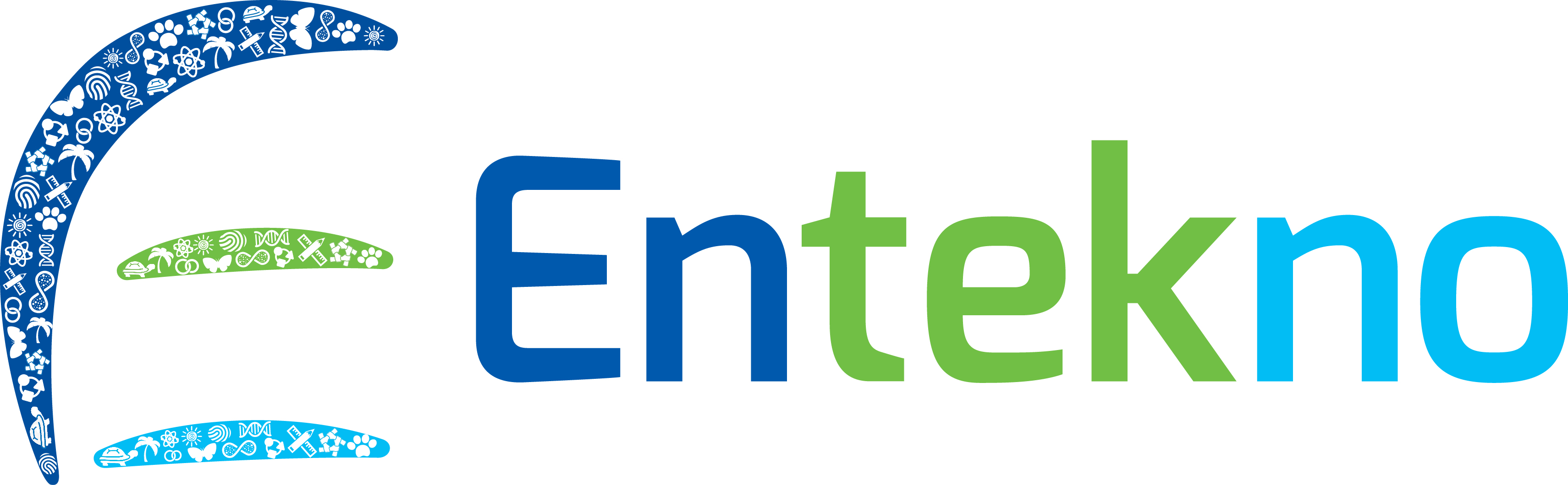 Entekno logo