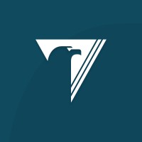 3V Sigma Europe SRL logo