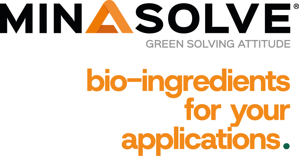 MINASOLVE SAS logo
