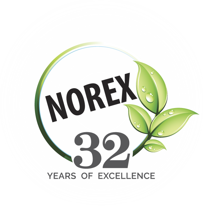 Norex Flavours Private Limited logo
