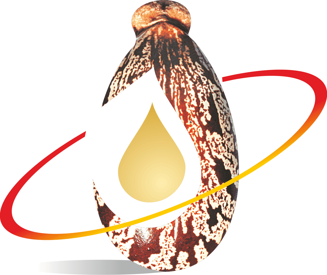Jayant Agro-Organics Ltd logo