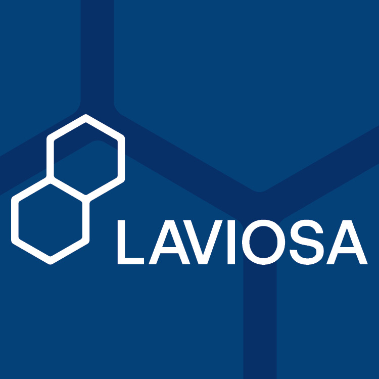 Laviosa S.P.A. logo