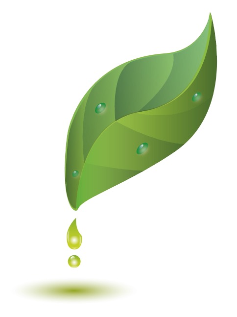GREEN FRIX S.A. logo