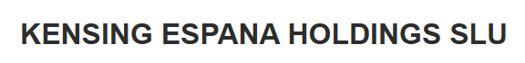 KENSING ESPANA HOLDINGS SLU logo