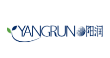 Yangrun Technology (Guangdong) Co., Ltd. logo