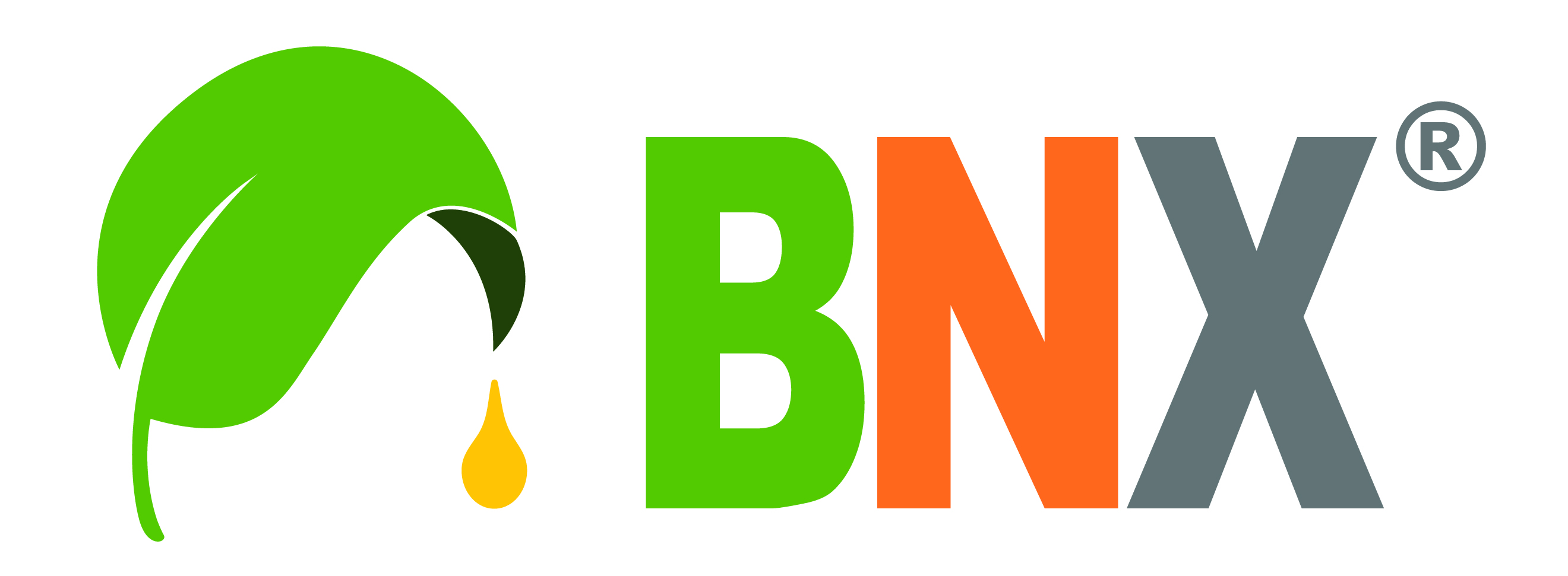 BNX Agriwartu (Pty) Ltd logo
