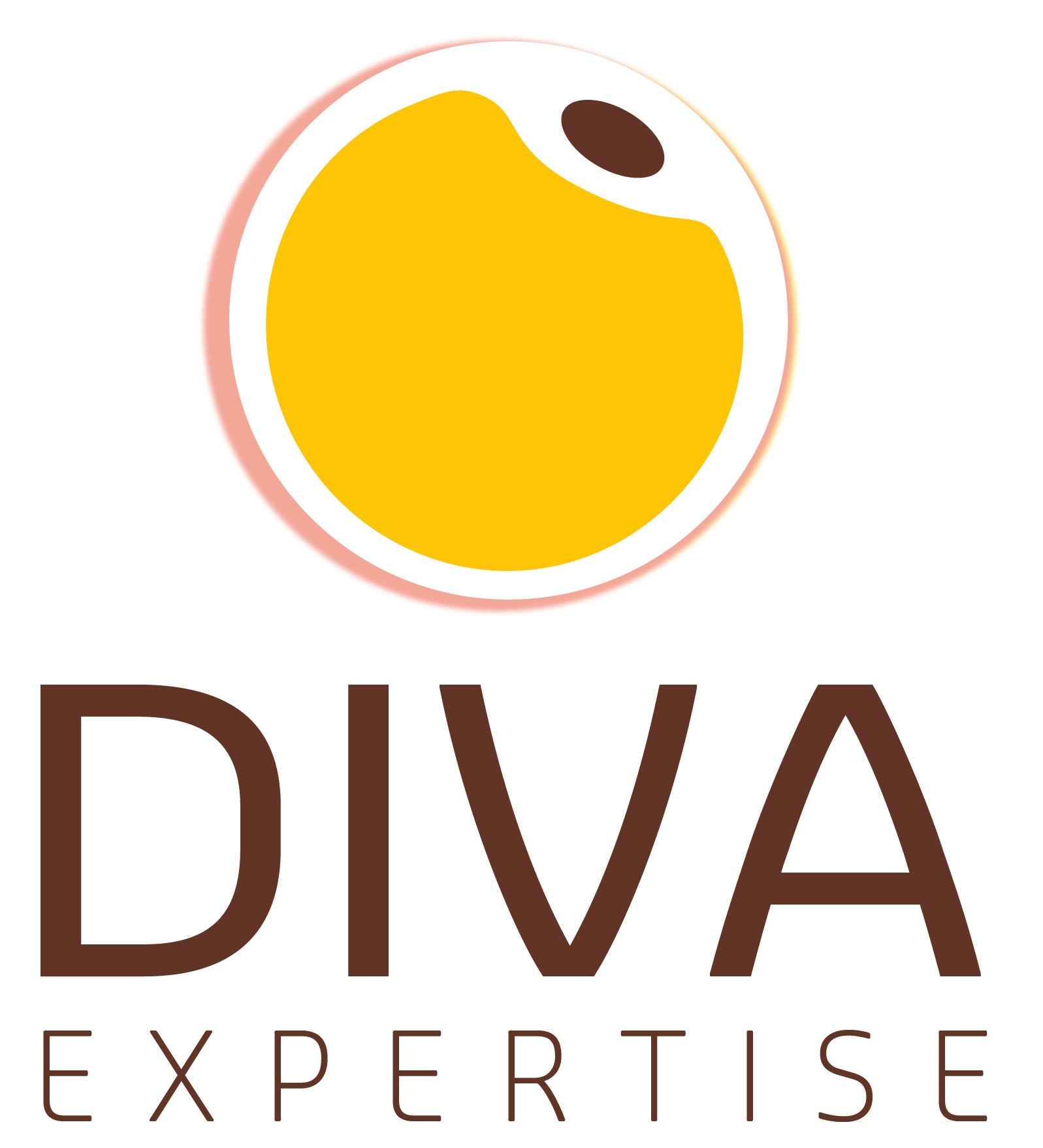 D.I.V.A. Expertise logo