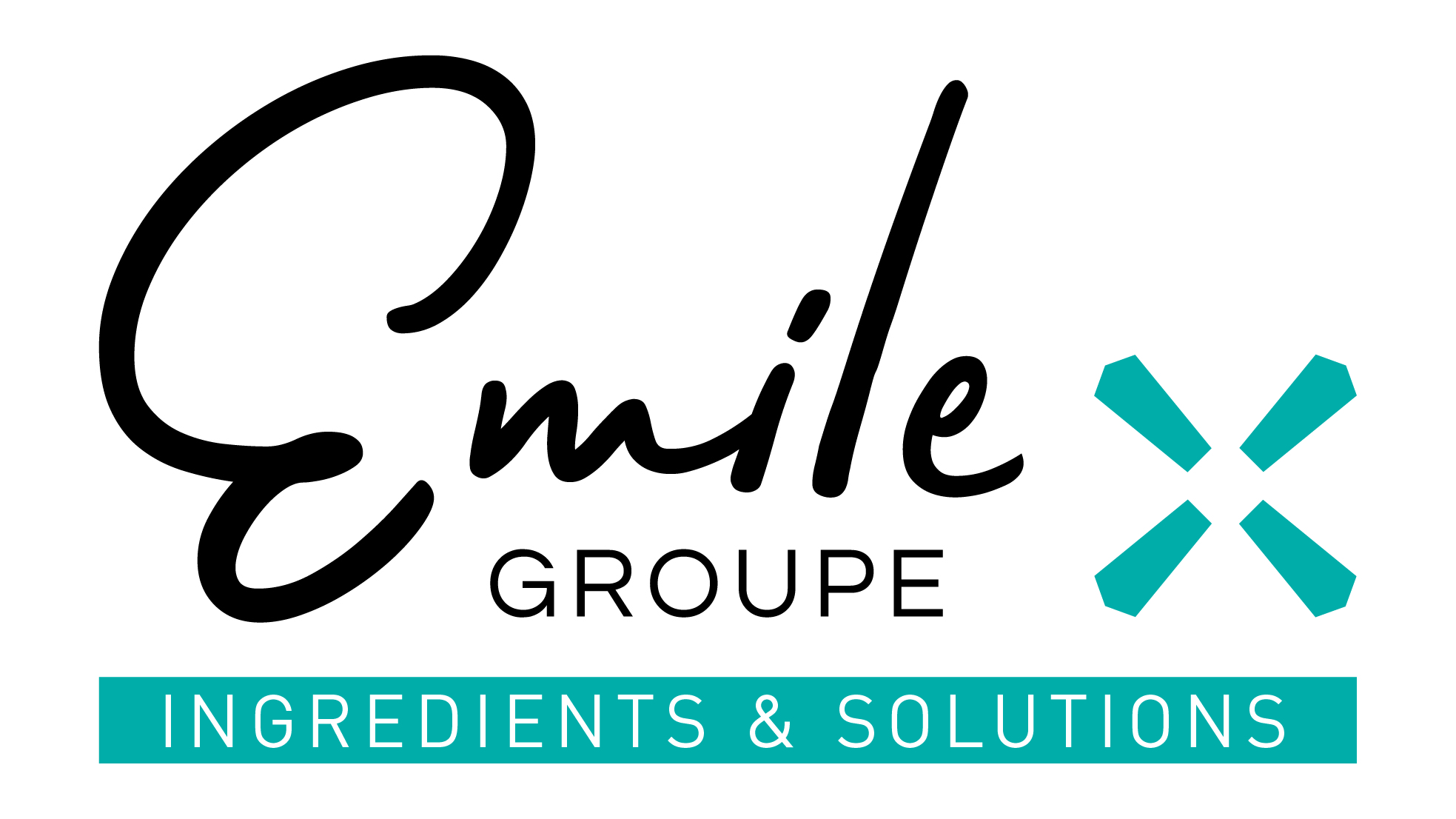 Huilerie Emile Noel S.A.S. logo