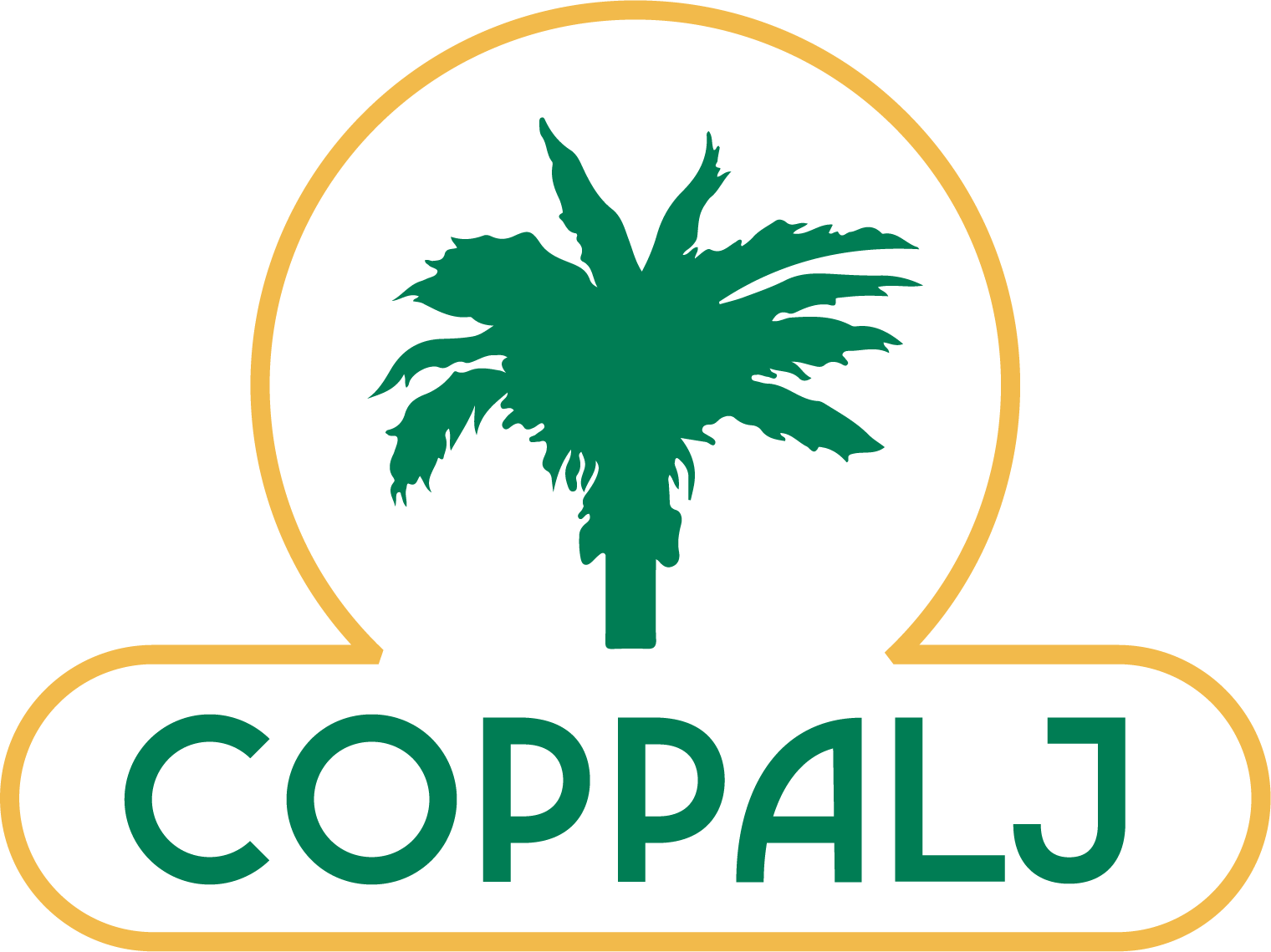 Cooperativa dos Pequenos Produtores Agroextrativistas de Lago do Junco COPPALJ logo