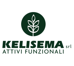 Kelisema srl logo