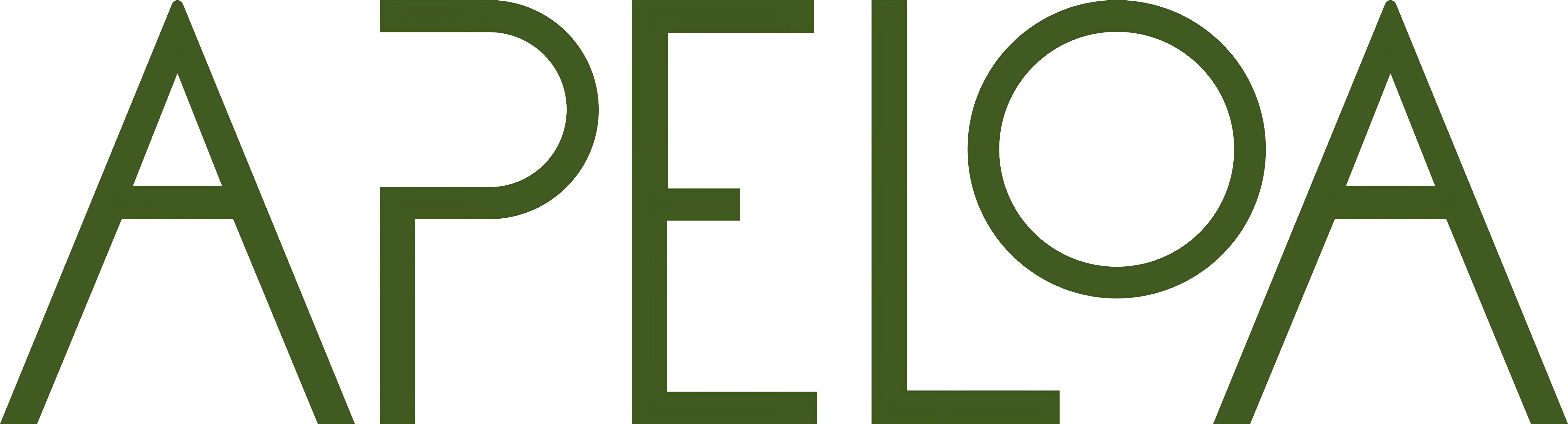 ZHEJIANG HENGDIAN APELOA IMP. & EXP. CO., LTD. logo