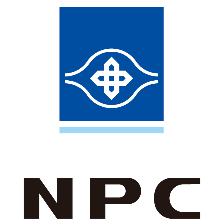 NAN YA PLASTICS CORPORATION