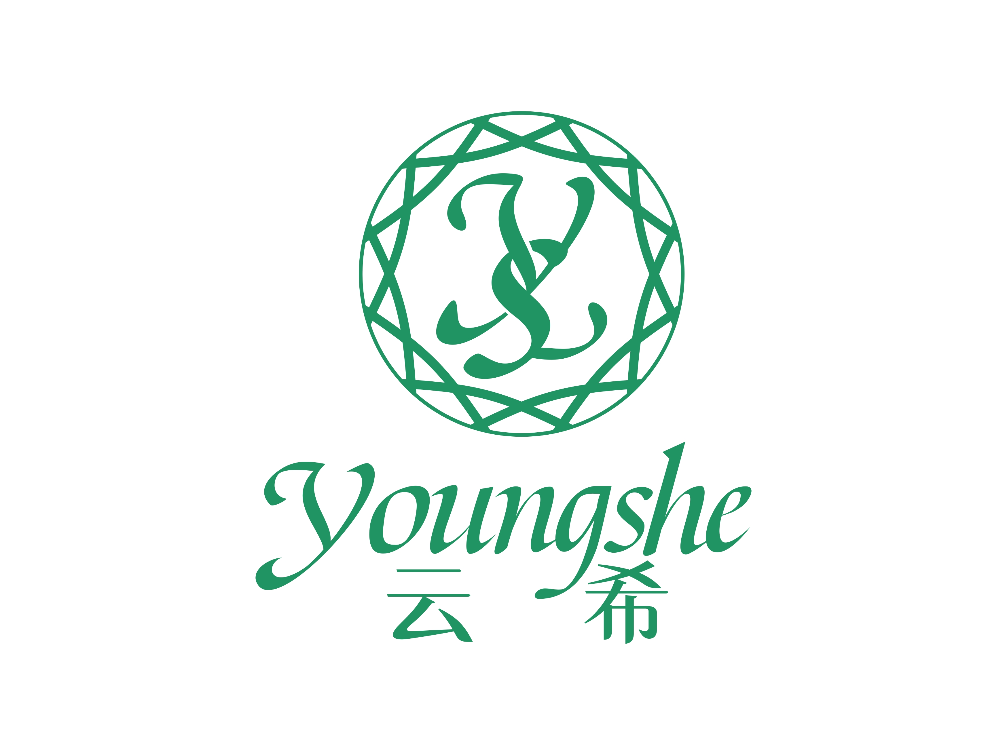 Chengdu Youngshe Chemical Co.,Ltd logo