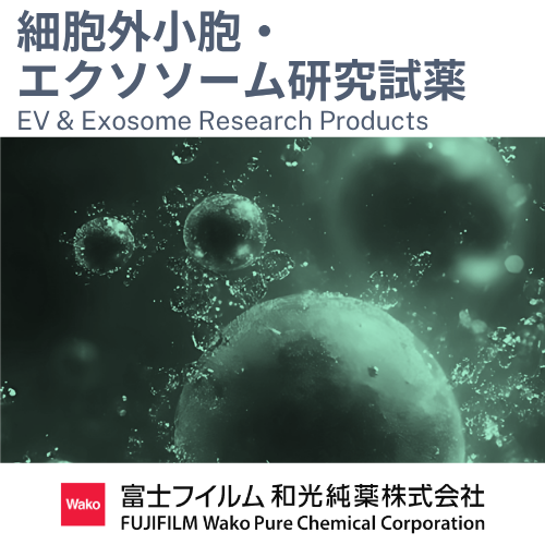 製品詳細